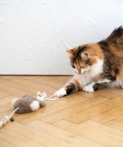 natural sheepskin cat toy: squid