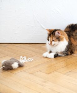 natural sheepskin cat toy: squid