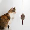 natural woolen cat toy: mouse