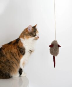 natural woolen cat toy: mouse