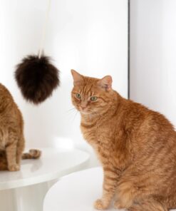 natural woolen cat toy: ball