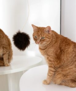 natural woolen cat toy: ball