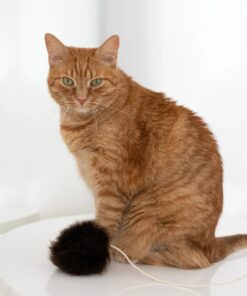 natural woolen cat toy: ball