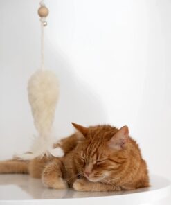 natural woolen cat toy: fish