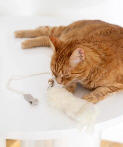 natural sheepskin cat toy: fish