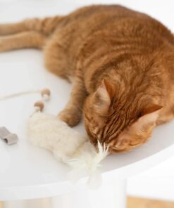 natural sheepskin cat toy: fish