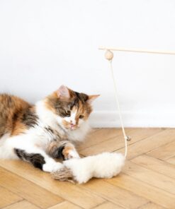 natural woolen cat toy: fish