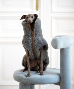 woolen dog vest dark grey