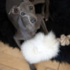 natural sheepskin dog tug toy white