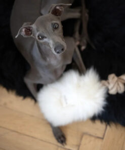 natural sheepskin dog tug toy white