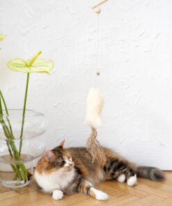 natural woolen cat toy: fish