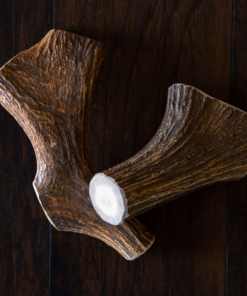 mammoth moose antler chew