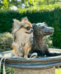 oxford "sand" dog lead – by flossie & floof