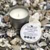"anti wet dog candle" remove wet dog smells by pup suds