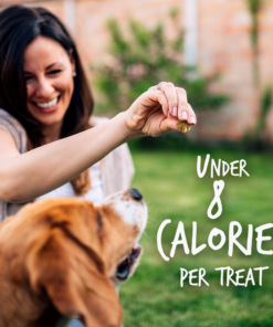 fruitables pumpkin & blueberry mix dog treats (8x7 oz)