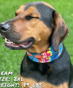 bedouin paws pup scruff