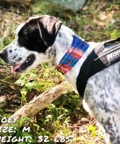 bedouin paws pup scruff