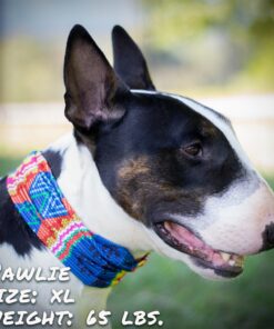 bedouin paws pup scruff