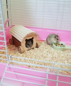 cozy woodland retreat for small pets