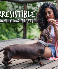 fruitables pumpkin & cranberry mix dog treats (8x7 oz)