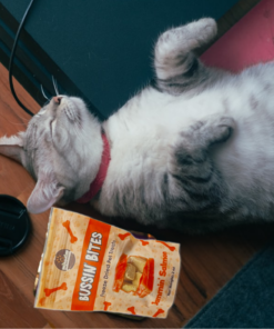 single ingredient, high value freeze dried training treats for dogs & cats salmon