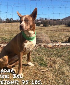 drops of lime pup scruff