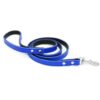royal blue dog leash