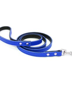 royal blue dog leash