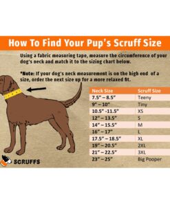 smash crackle orange pup scruff