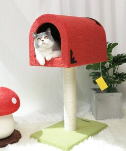 mailbox red climbing frame cat tree