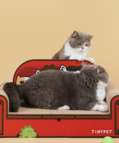 one family red small sofa cat scratching board