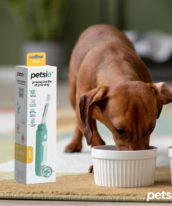 petsie dog toothbrush (size l 20+kg)