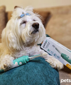 petsie dog toothbrush (size l 20+kg)