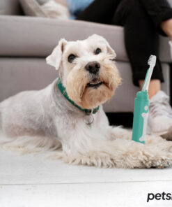 petsie dog toothbrush (size l 20+kg)