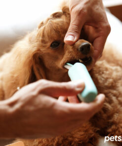 petsie dog toothbrush (size l 20+kg)